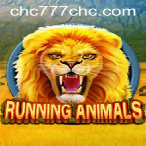 CHC777 Casino App
